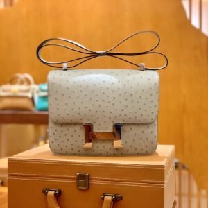 Buckle Flap Bag 24cm – Ostrich, Glacier Gray, Silver Hardware