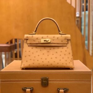 Mini Turnlock Flap Bag – Ostrich, Gold Hardware (AG-13820)
