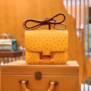 Buckle Flap Bag 19cm – Ostrich, Gold Hardware (AG-14045)