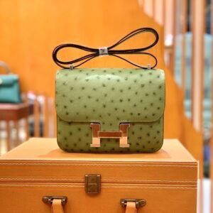 Buckle Flap Bag 18cm – Ostrich, Avocado Green, Gold Hardware