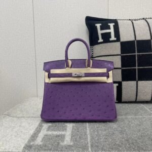 Top-Handle Bag 25cm – Ostrich, Anemone, Silver Hardware (AG-23384)