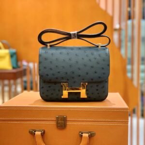 Buckle Flap Bag 19cm – Ostrich, Gold Hardware (AG-14075)