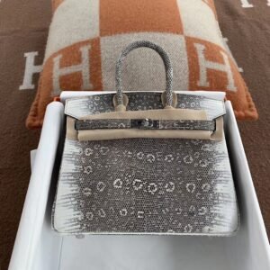 Top-Handle Bag 25cm – Lizard, Ombre, Silver Hardware (AG-00611)