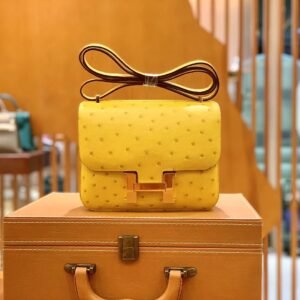Buckle Flap Bag 19cm – Ostrich, Citron, Gold Hardware