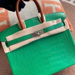Top-Handle Bag Exotic-Trim 25cm – Matte Alligator/ Barenia, Cactus / Fauve, Silver Hardware
