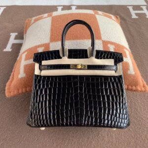 Top-Handle Bag 25cm – Shiny Niloticus, Noir, Gold Hardware (AG-00985)