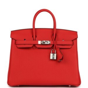 Hermes Birkin 25 Rouge Radieux Togo Palladium Hardware