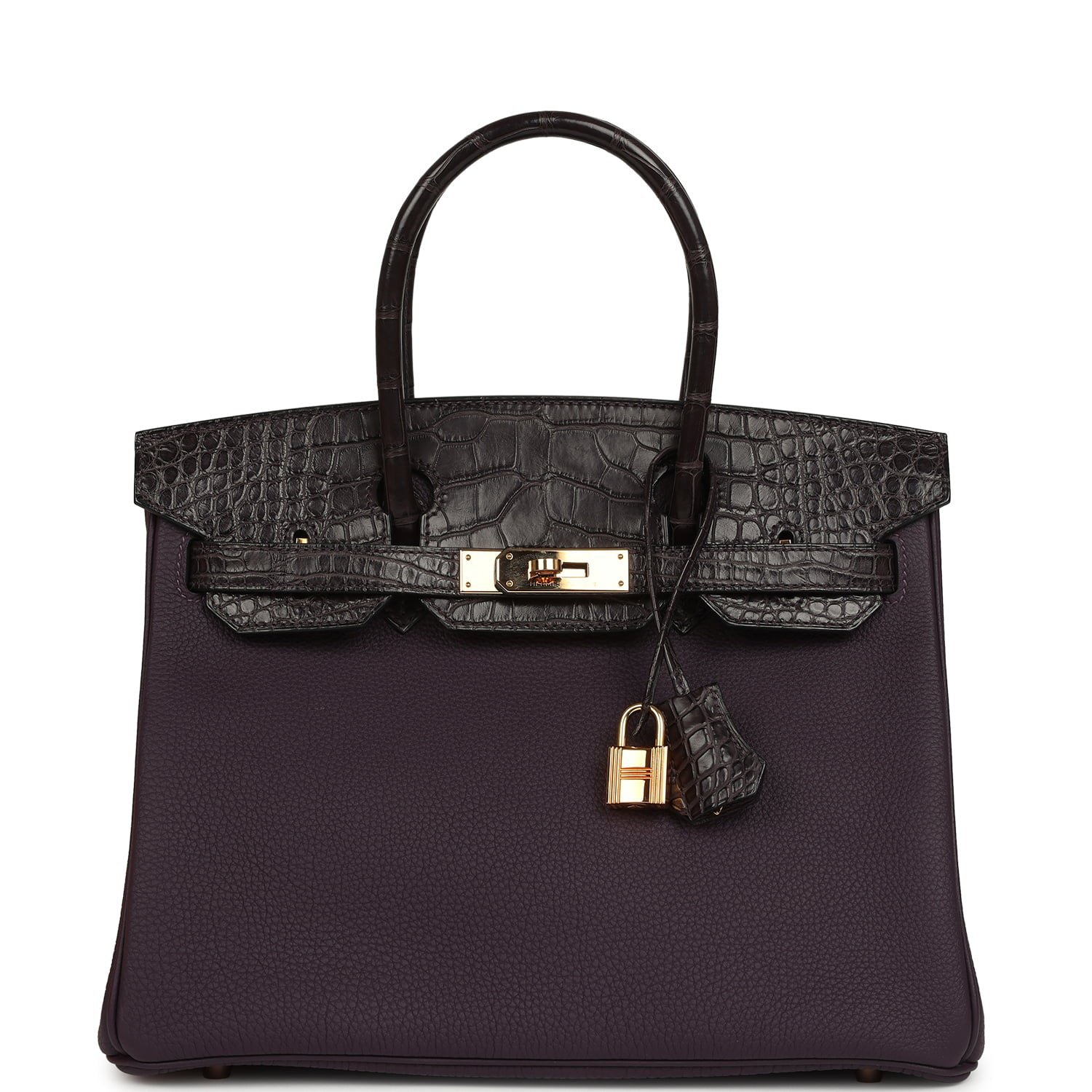 Hermes Birkin 30 Raisin Togo and Matte Alligator Touch Gold Hardware