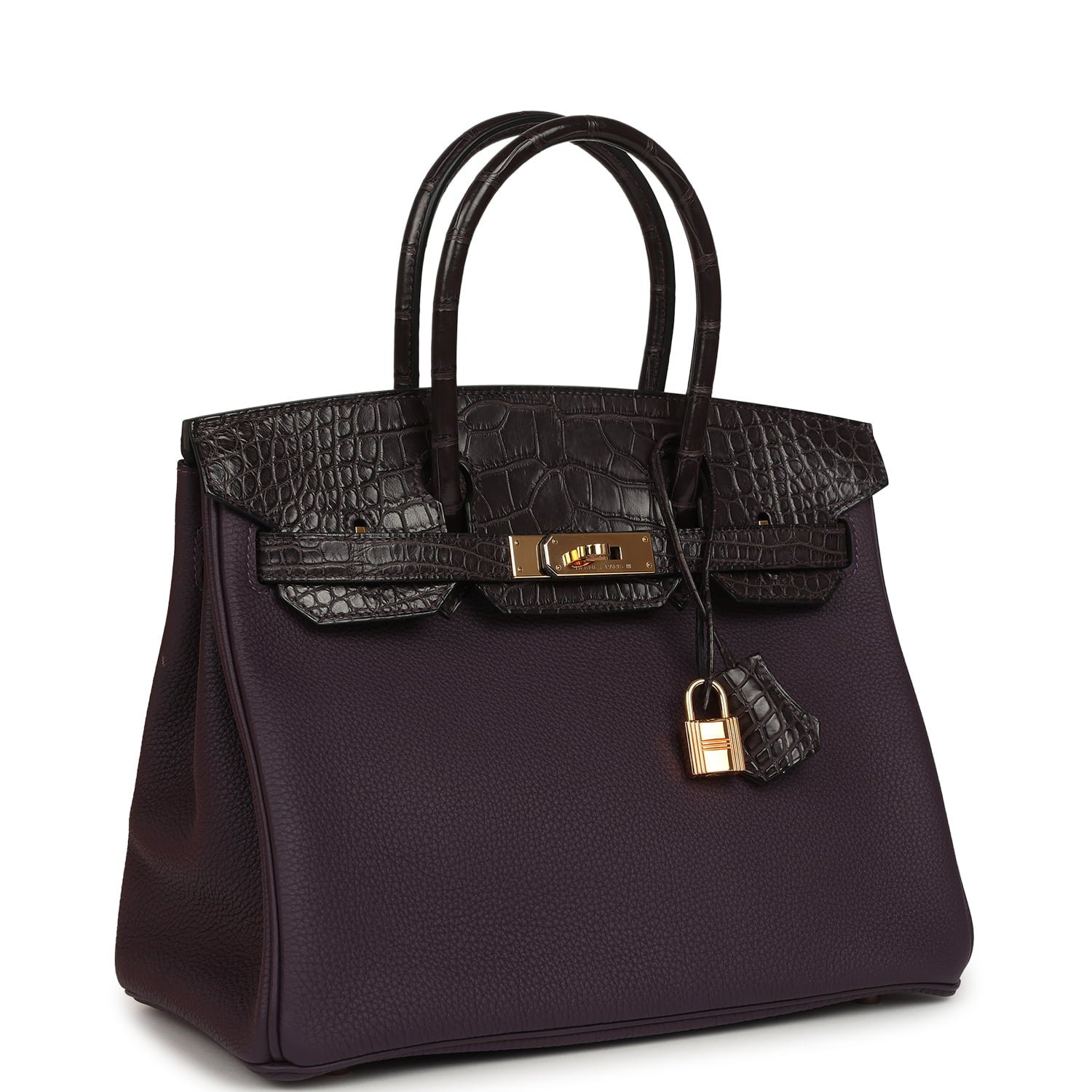 Hermes Birkin 30 Raisin Togo and Matte Alligator Touch Gold Hardware - Image 2