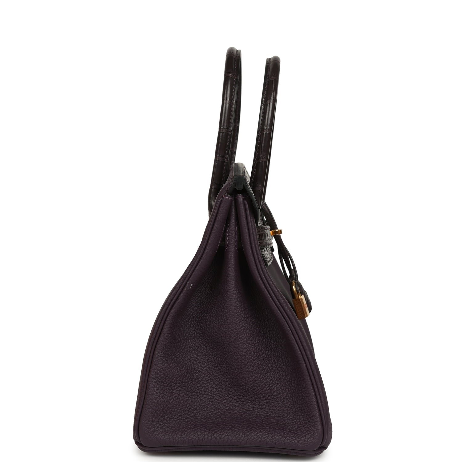 Hermes Birkin 30 Raisin Togo and Matte Alligator Touch Gold Hardware - Image 3