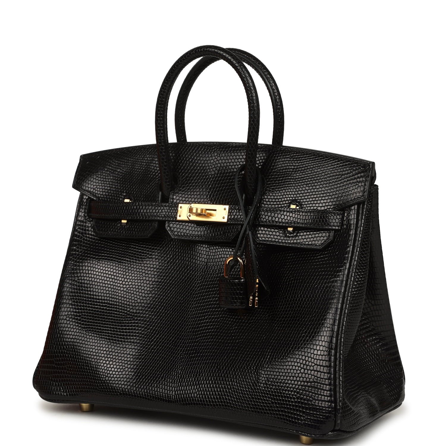 Hermes Birkin 25 Black Shiny Varanus Niloticus Lizard Gold Hardware - Image 5
