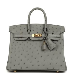 Hermes Birkin 25 Bleu Glacier Ostrich Gold Hardware