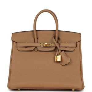 Hermes Birkin 25 Chai Togo Gold Hardware