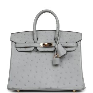 Hermes Birkin 25 Bleu Glacier Ostrich Gold Hardware