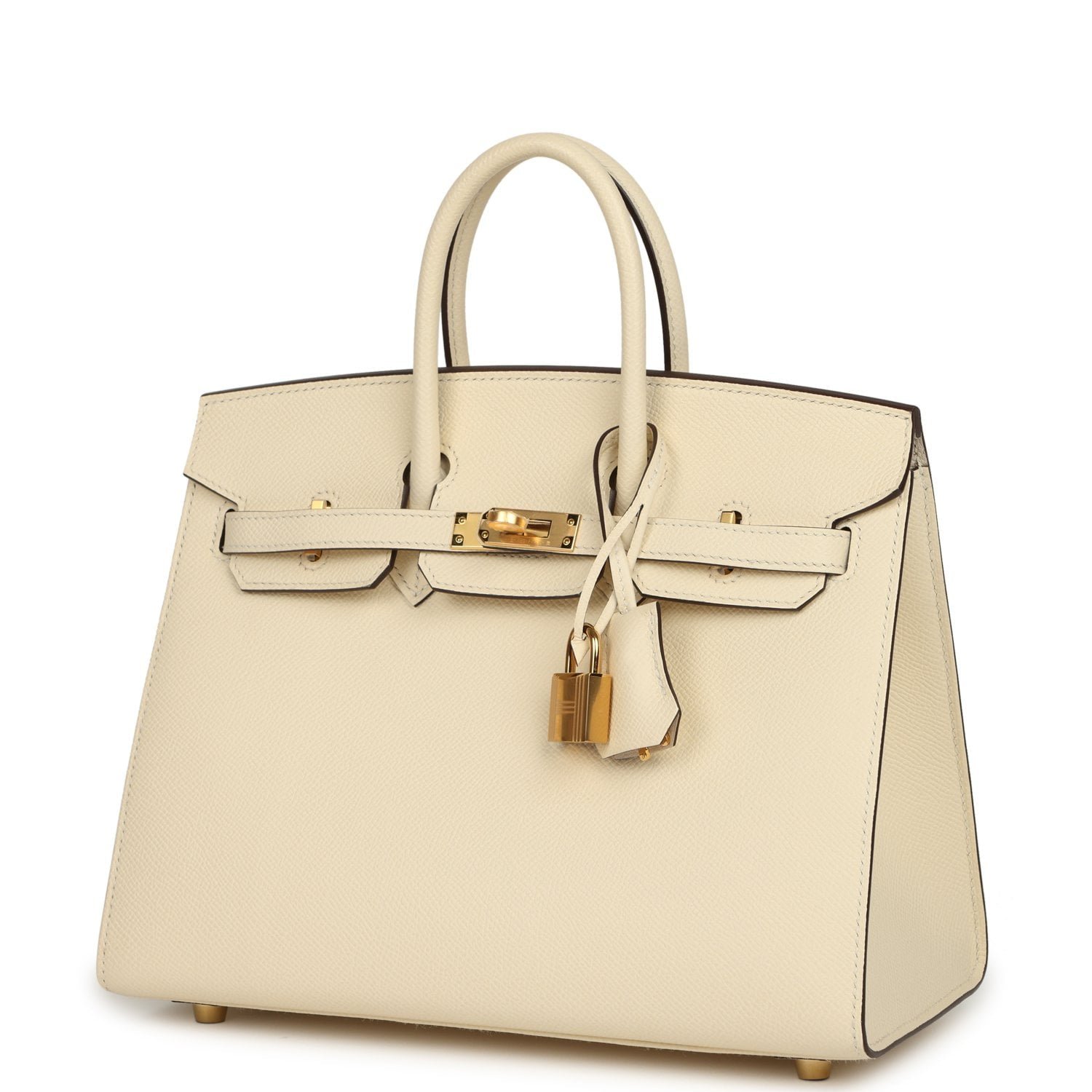 Hermes Birkin Sellier 25 Nata Epsom Gold Hardware - Image 5