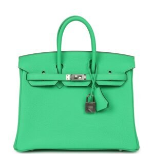 Hermes Birkin 25 Vert Comics Togo Palladium Hardware