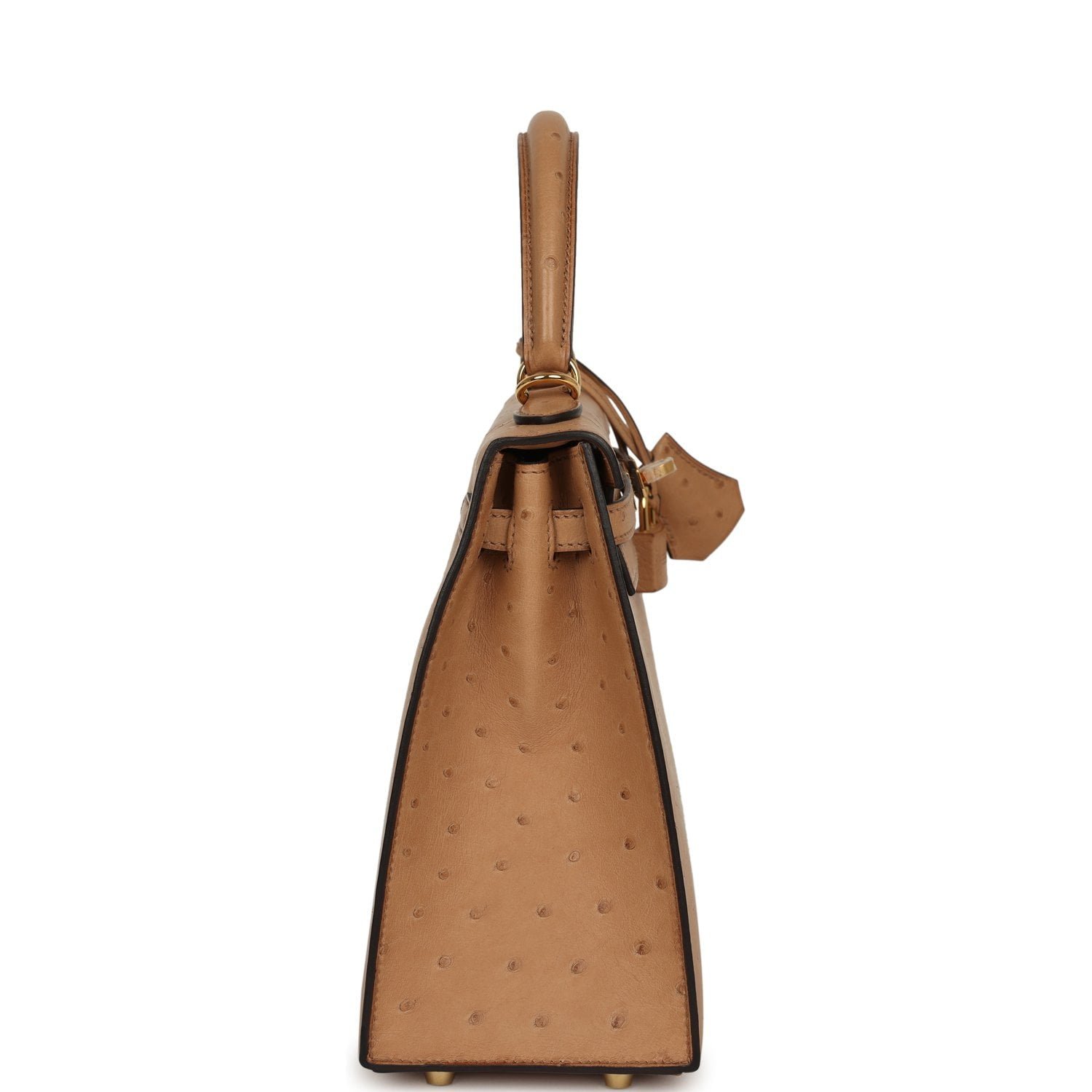 Hermes Kelly Sellier 25 Chai Ostrich Gold Hardware - Image 3